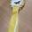 Escarapela de concurso HKM con dos bandas de lazo, amarillo/blanco - Imagen 2